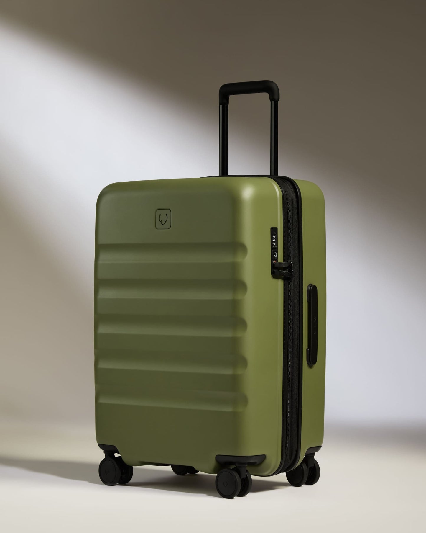 Large Carry-on Luggage Set in Fern Green - Icon Stripe