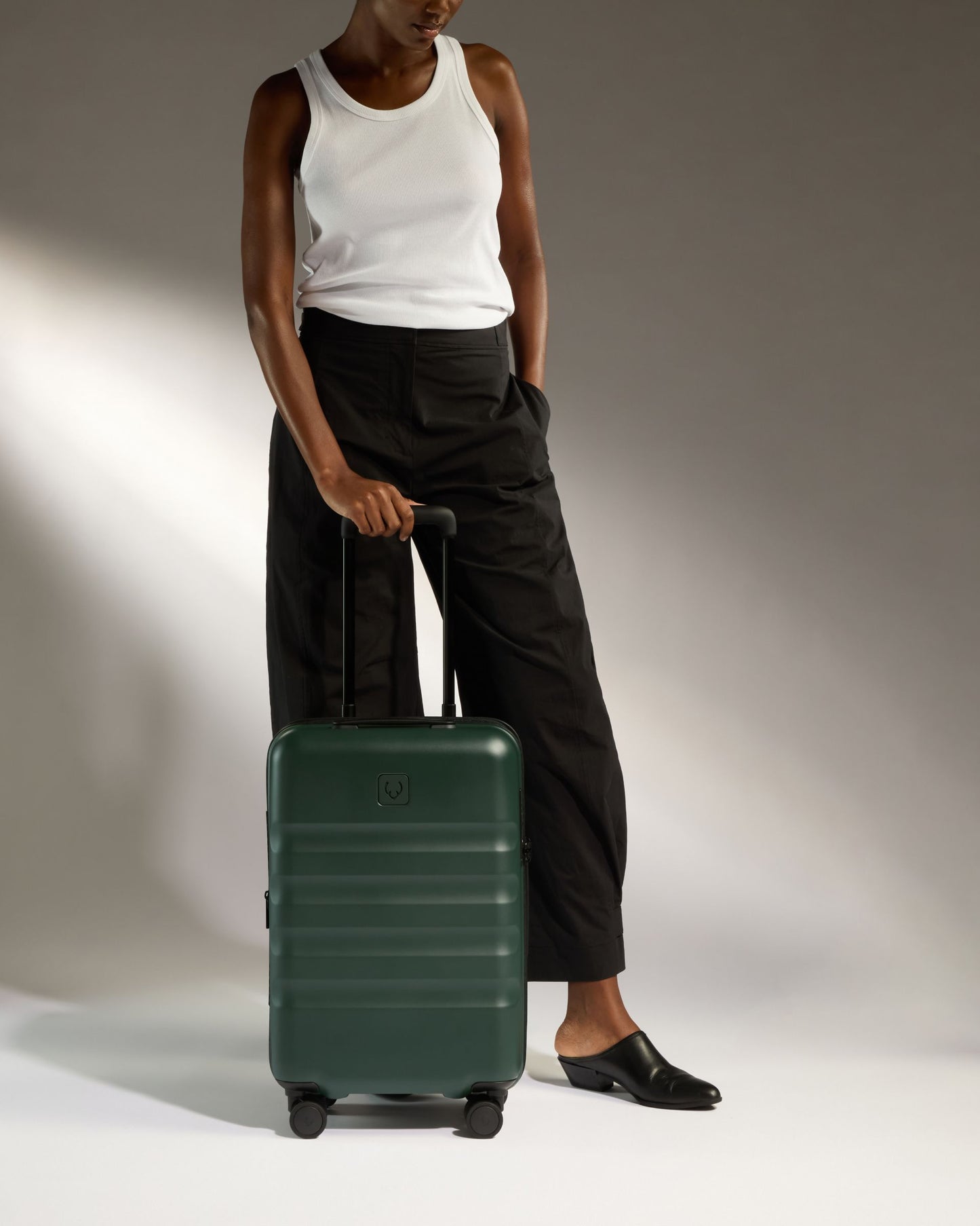 Expandable Carry-on Luggage in Antler Green - Icon Stripe